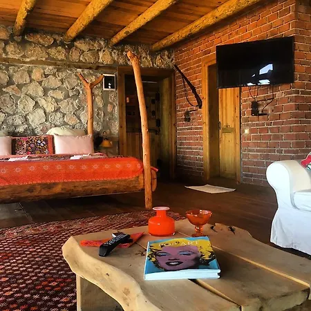 Hotel Prima Donna - Couples Only *